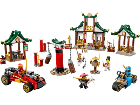 LEGO 71787 Creative Ninja Brick Box